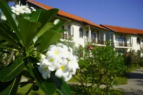 Shakti Vani Ayurvedic Resort - Image 4