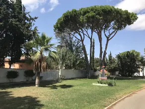 Xanadu Rural - Image 3
