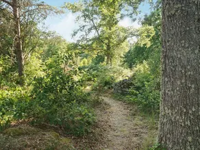6 Person Holiday Home in Fårbo - Image 2