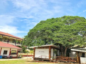 Dormitels Alona Beach Bohol - Image 4