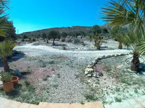 Mas del Conill - Image 5