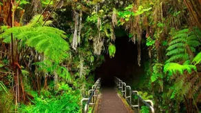 Volcano Park Rentals - Image 5