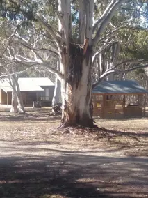 Gooandra alpine cabins - Image 4