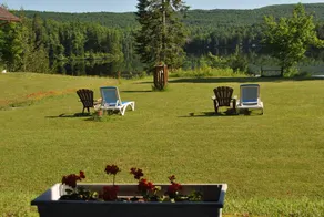 Motel Ours Bleu - Image 2