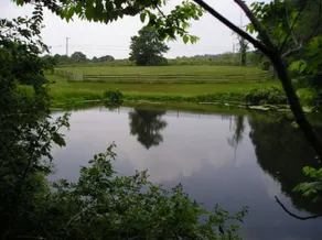 Mill Stone Bed and Breakfast - Image 4