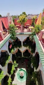 Abelia Riad - Image 2