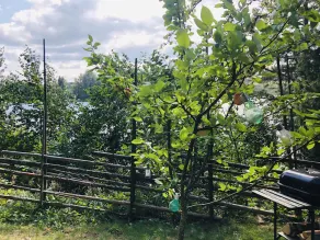 Tiny hut in the Forest Overlooking the River - Image 3