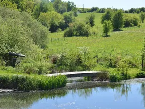 Old House in Small Hamlet, in Full Nature, With Pond, Very Calm - Image 4