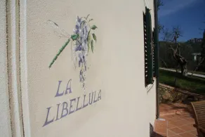 Casale Olea - Image 4