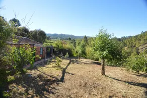 La Podona - Image 3