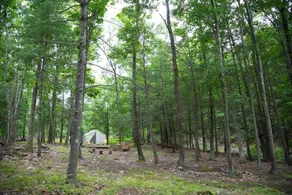 Tentrr - Camp Anulyfe - Image 4