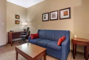 Comfort Inn DFW Airport North - Image 4