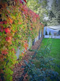 La Petite B&B - Image 4