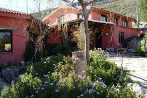 El Refugio de Alamut - Image 5