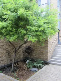 Parsons Green Lane Apartment - Image 5