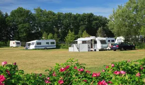 Dancamps Hampen - Image 3