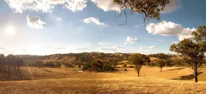 Mittagong Homestead & Cottages - Image 3