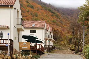 Ulsan Baenaegol Benehill Pension - Image 2