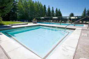 Moose Creek - Image 2