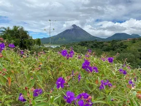 Castillo Arenal - Image 2