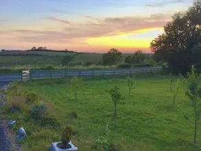 Stunning 2-bed Cottage Countryside Outside Ayr - Image 5