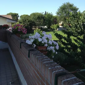 Bed & Breakfast La Salina - Image 4
