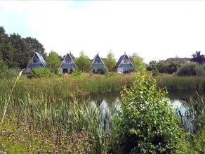 B&B Het Farm House Green Park - Image 2