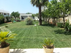 Alma Terra Salento B&B - Image 4