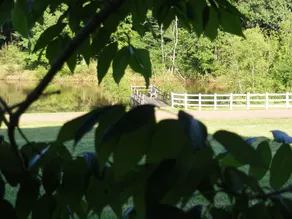 Meadow View Farm - Image 5