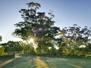Armadale Farmstay Bed & Breakfast - Image 3