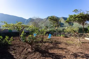 HomeLike Rustic House orchard and Wifi - Image 5