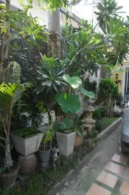 Putthiya Hua Hin Place - Image 3