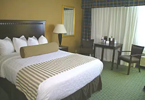Quality Inn & Suites East Syracuse - Carrier Circle - Image 4