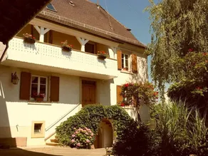La Vieille Vigne - Image 3
