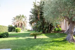 Il Dunne - Image 3