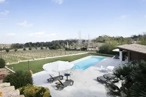 Vinyes de l'Empordà - Image 4
