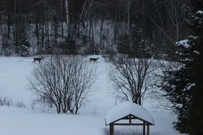 Chalet Le Saint-Paul - Image 3
