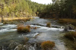 El Boyal Del Alto Tajo - Image 2