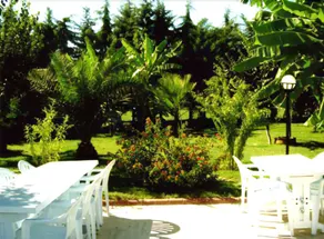 Club Turkuaz Garden Hotel Adult Only - Image 3
