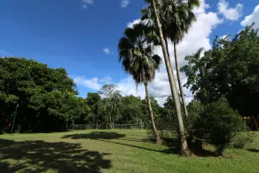 Misión Palenque - Image 4