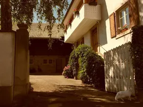 La Vieille Vigne - Image 4
