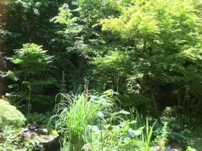 Guest House Yamato - Image 4