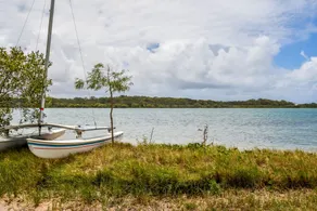 Coral Breeze Bradman Avenue Maroochydore - Image 3