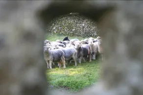 Crookabeck B&B - Image 4