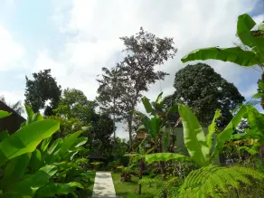 Double Room at Payangan Residence - Image 3