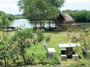 Guest at Tangalle - Image 4