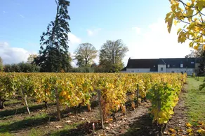 Au Clos De L'Epinay - Image 3