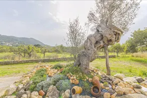 Finca Puig Santa Magdalena - Image 5
