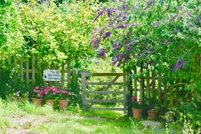 Old Park Cottage, a comfortable 17th Century cottage near coastal paths - Image 5