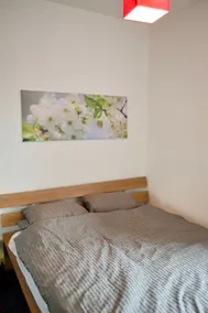 1 Bedroom Flat near Dalry Area - Image 2